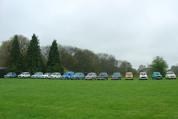 All the Renault 4s together