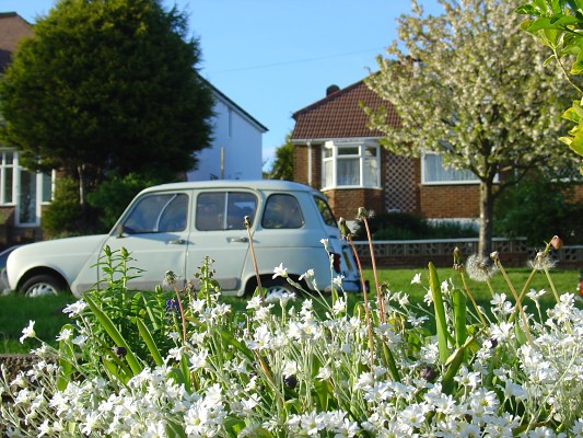 Reflexia reflects on her complementary white natural surroundings