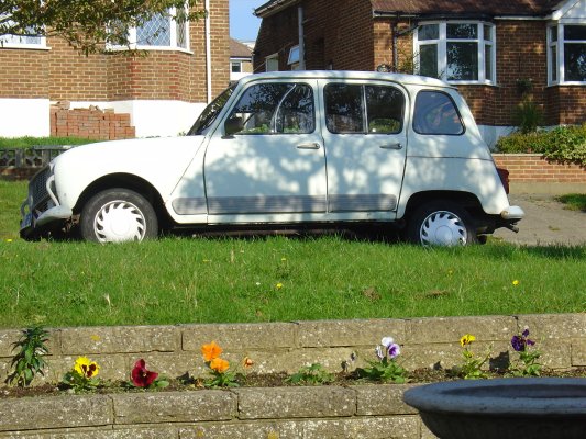 Reflexia at home in Hove, England, October 2007