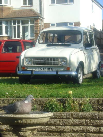 A plump wood pigeon takes a bath having been made to feel dirty by my freshly washed and waxed R4