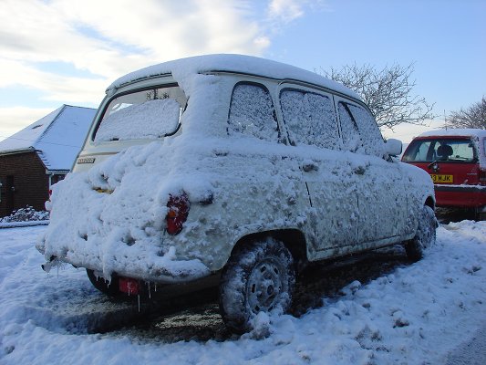 Queen Geanine caked in snow and ice, England, January 2010