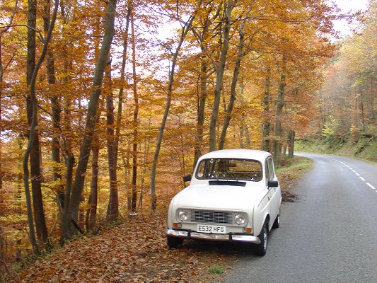 Queen Geanine in leafy surroundings in the Loire